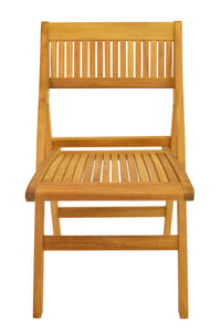 Thumbnail for Anderson Teak Windsor Folding Chair (Set of Two)