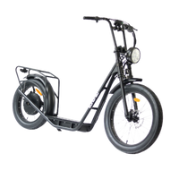 Thumbnail for EUNORAO Jumbo Electric Scooter