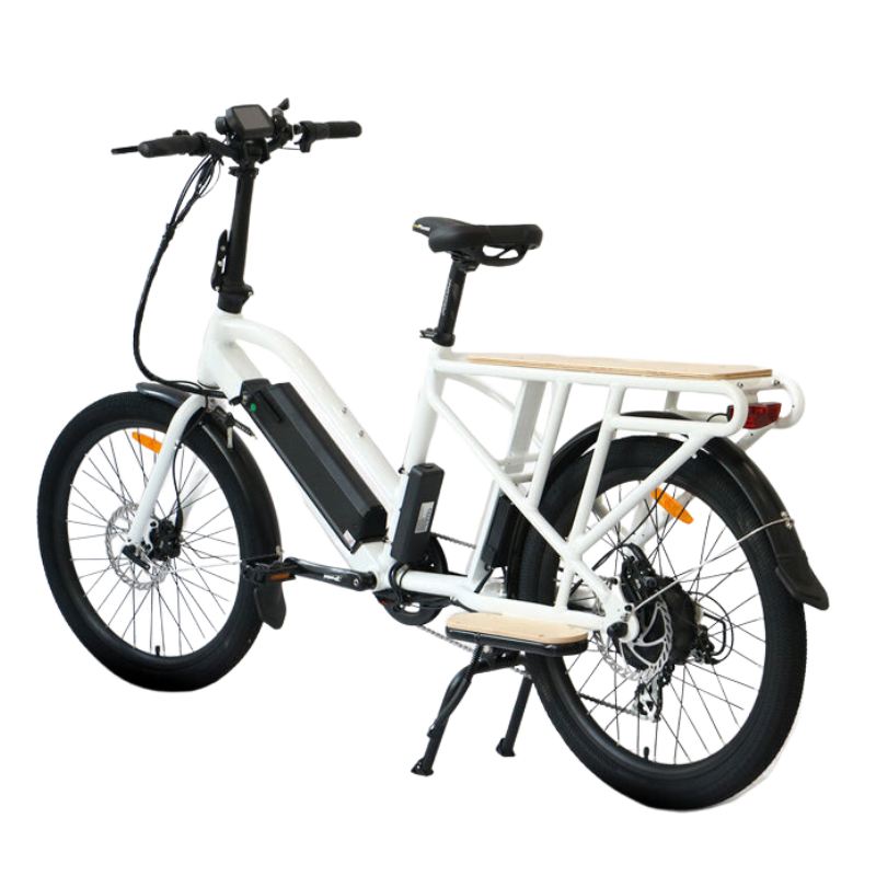 EUNORAO Max Cargo Electric Bike