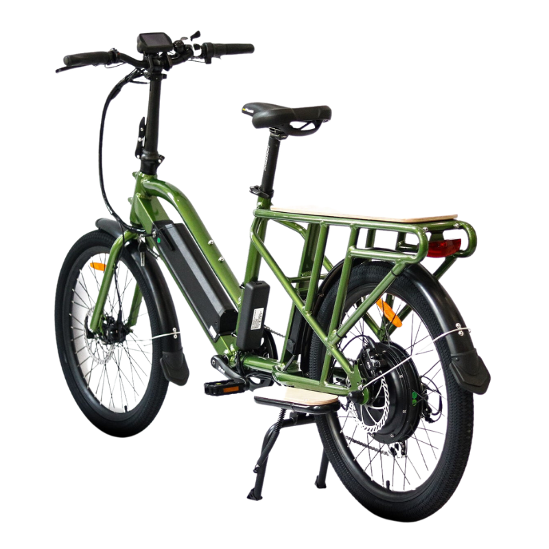 EUNORAO Max Cargo Electric Bike