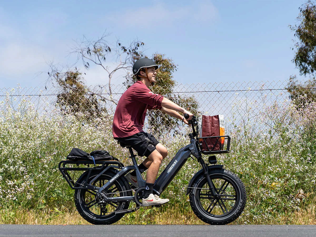 Himiway Big Dog Electric Cargo Bike