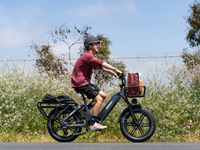 Thumbnail for Himiway Big Dog Electric Cargo Bike