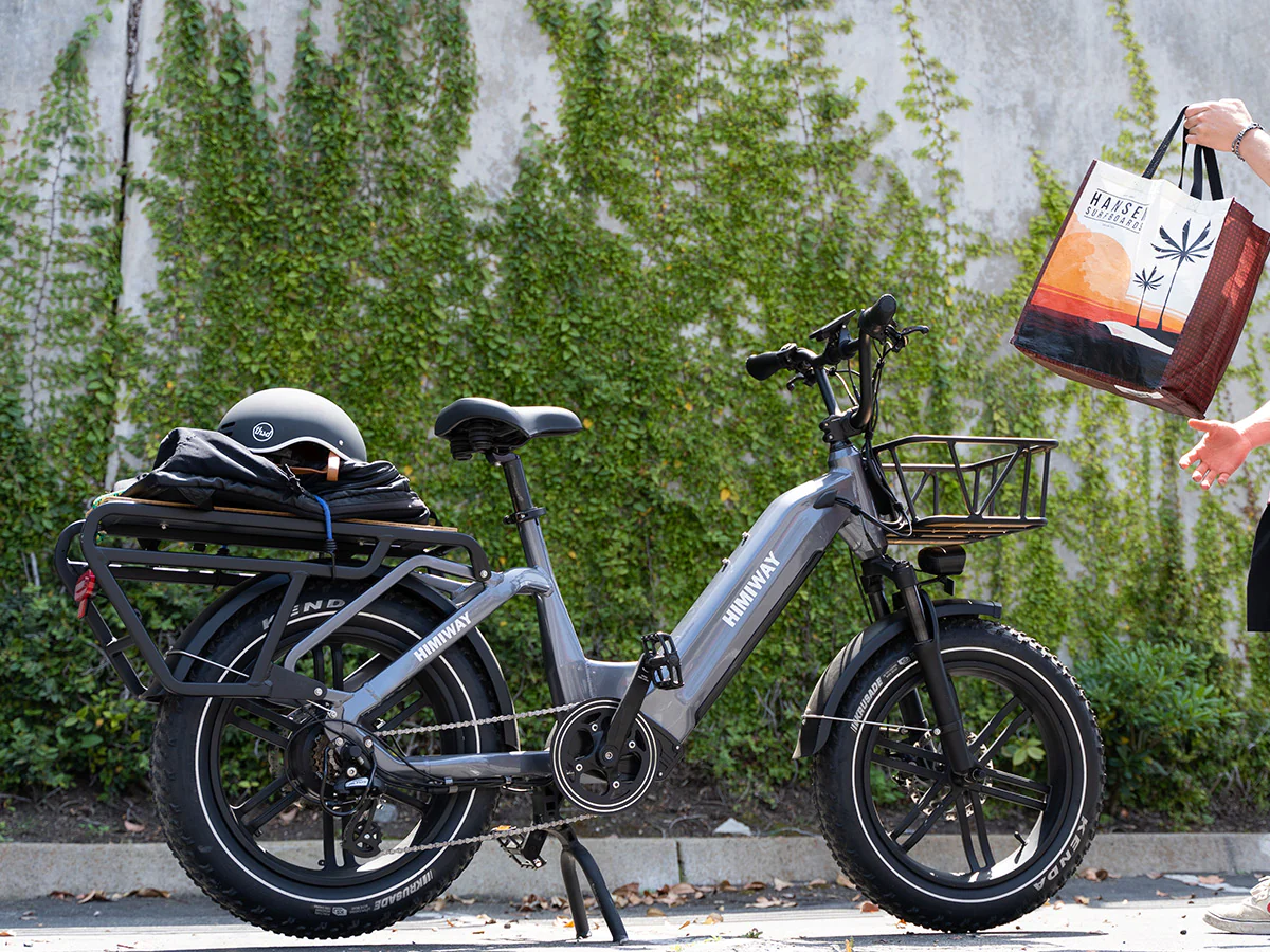 Himiway Big Dog Electric Cargo Bike