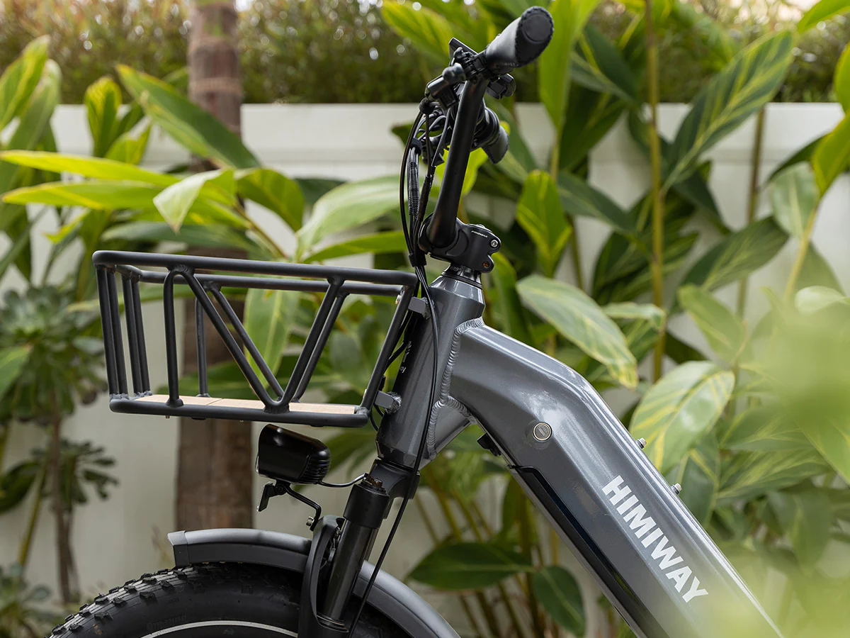 Himiway Big Dog Electric Cargo Bike