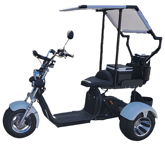 14 STX Rebel Trike Golf Scooter