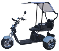 Thumbnail for 14 STX Rebel Trike Golf Scooter