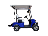 Thumbnail for 14 STX SR-Rascal Single-Rider Golf Cart