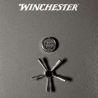 Thumbnail for Winchester Ranger Series 44 Gun Safe