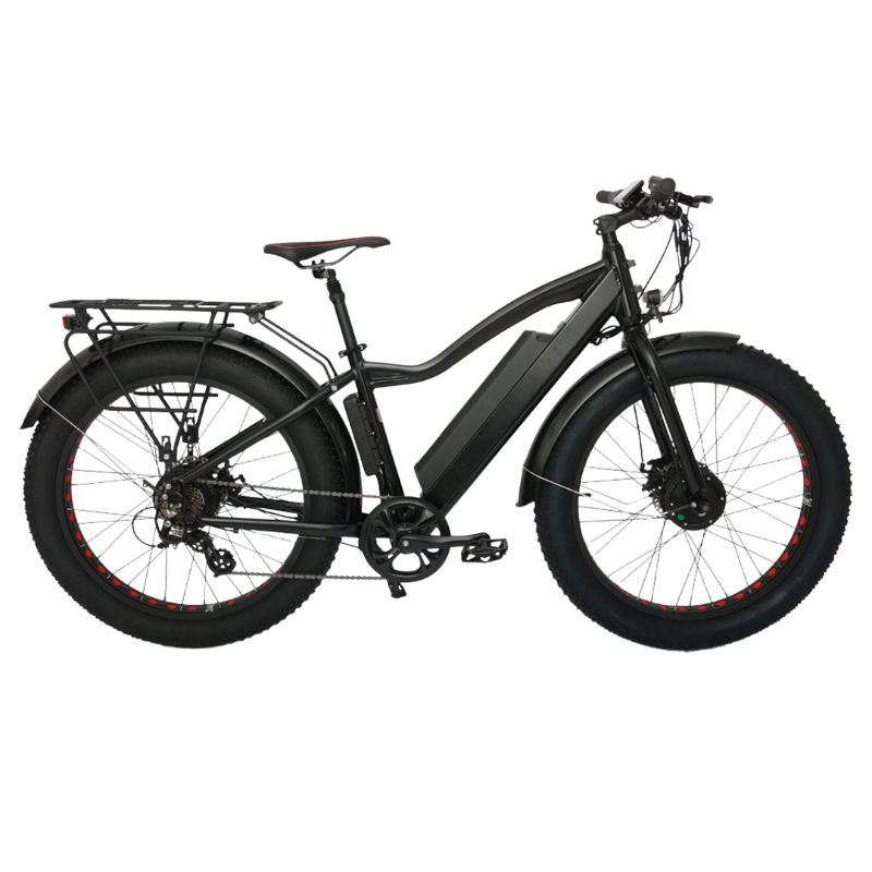 EUNORAO Fat AWD Electric Mountain Bike