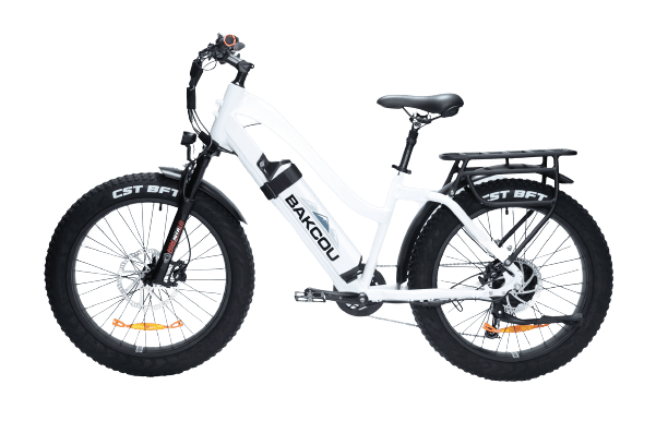 Bakcou Flatlander ST Step Thru Fat Tire Electric Bike