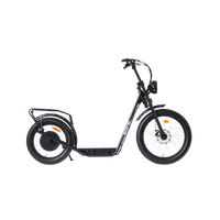 Thumbnail for EUNORAO Jumbo Electric Scooter