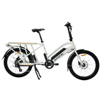 Thumbnail for EUNORAO Max Cargo Electric Bike