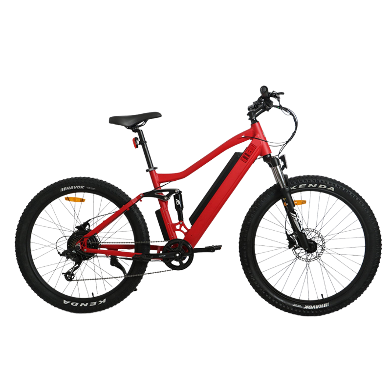 EUNORAO UHVO Electric Mountain Bike