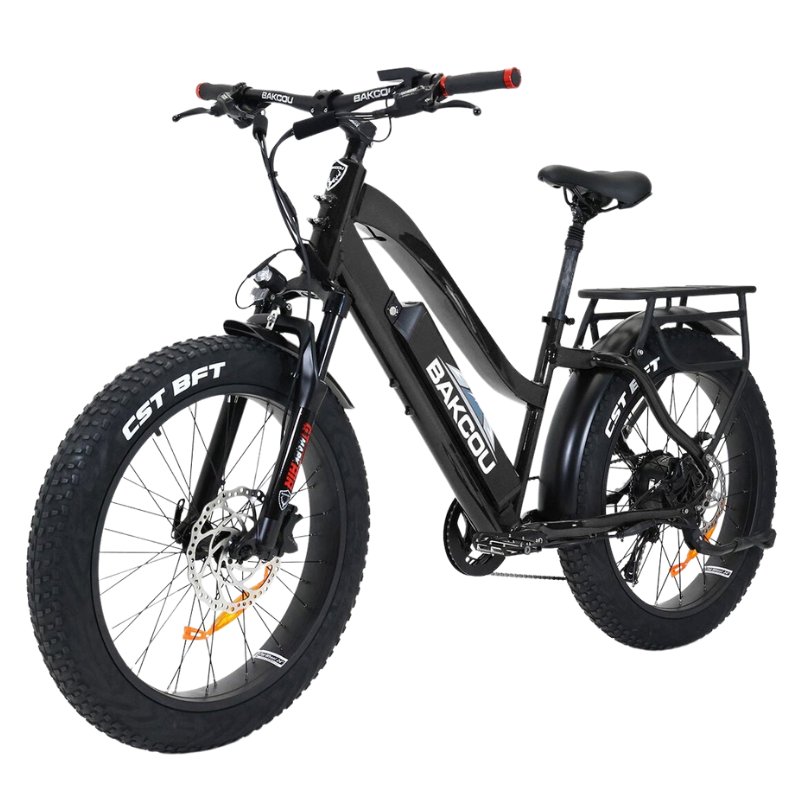 Bakcou Flatlander ST Step Thru Fat Tire Electric Bike